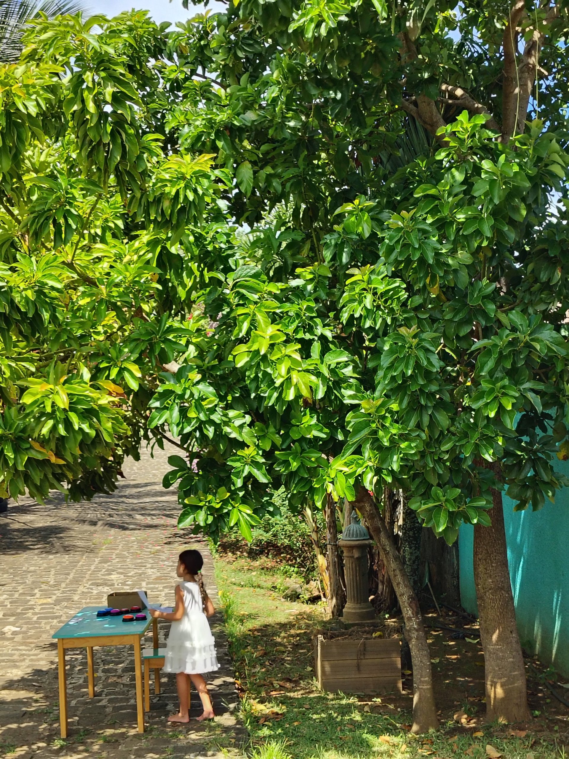 Garden of Saint Exupéry International School